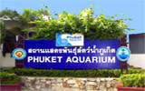 Thai phuket akvarium